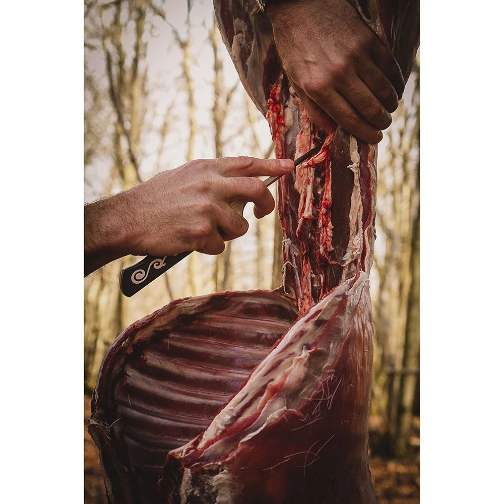 I.O.Shen Niku Boning Knife - Image 5